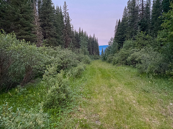 The road is in good shape above North Burnt Timber Creek.
