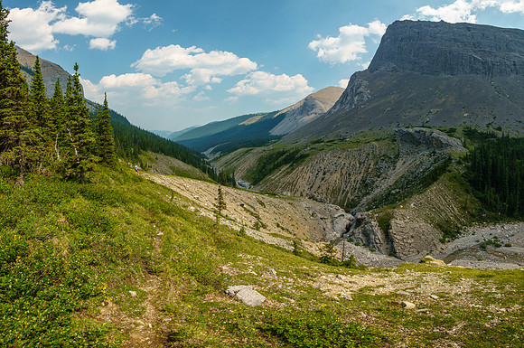 Hiking back along North Burnt Timber Creek.