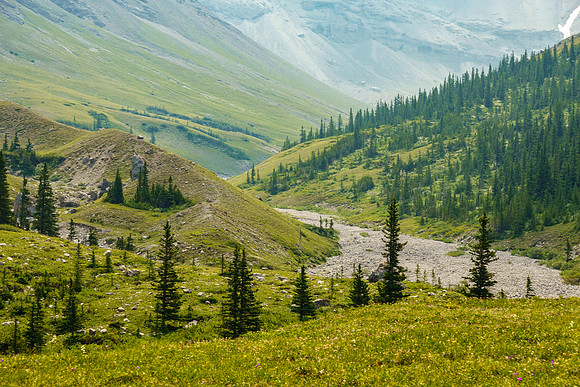 Hiking back along North Burnt Timber Creek.