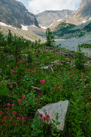 Nearing treeline in the Cone Mountain access drainage.
