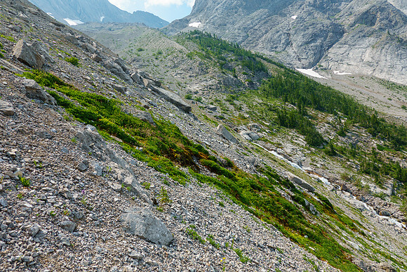 Descending back to Turbulent Creek.