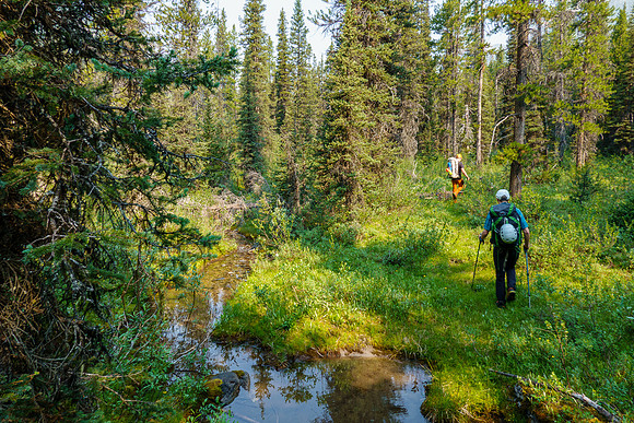 Hiking up Turbulent Creek. on intermittent trails.