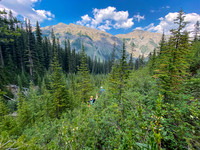 Bushwhacking back to Turbulent Creek.