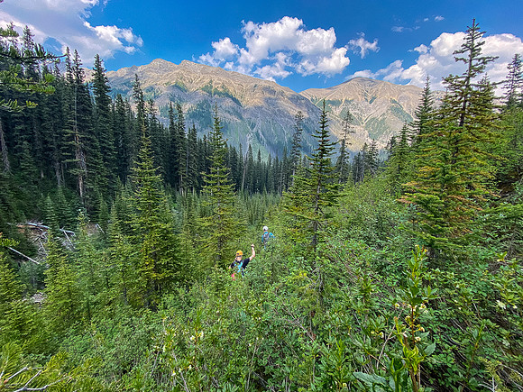Bushwhacking back to Turbulent Creek.