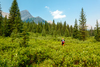 Hiking up Turbulent Creek. on intermittent trails.