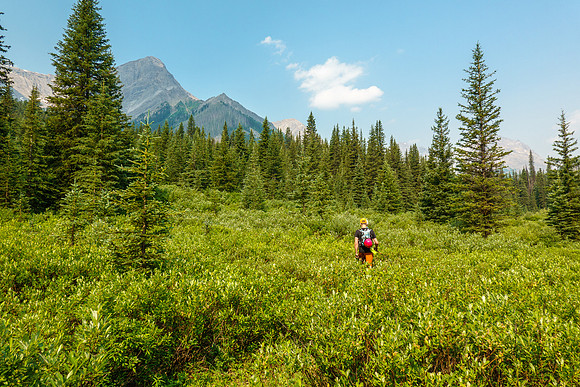 Hiking up Turbulent Creek. on intermittent trails.