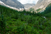 Bushwhacking up the Cone Mountain drainage.