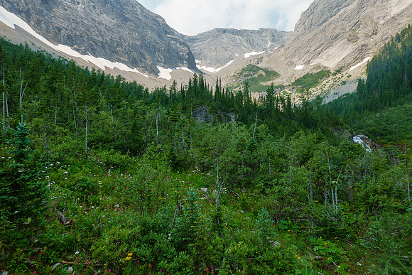 Bushwhacking up the Cone Mountain drainage.