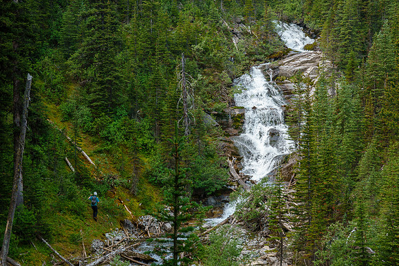 Bushwhacking up the Cone Mountain drainage.