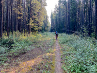 Biking up (and down) the approach trail as it circles Spray Lake.