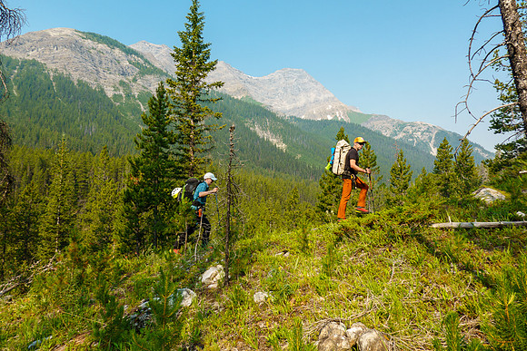 Hiking up Turbulent Creek. on intermittent trails.