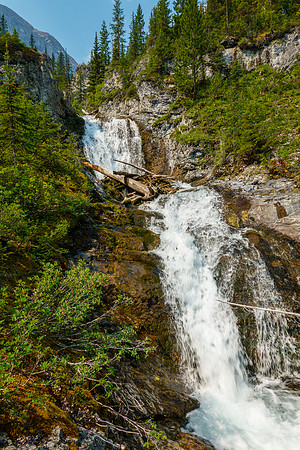 Bushwhacking up the Cone Mountain drainage.