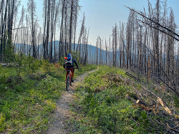 Biking up (and down) the approach trail as it circles Spray Lake.