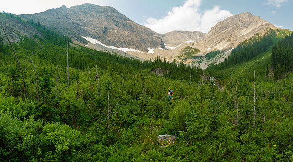 Bushwhacking up the Cone Mountain drainage.