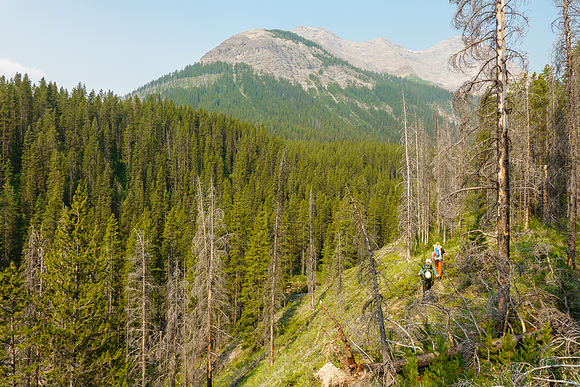 Hiking up Turbulent Creek. on intermittent trails.