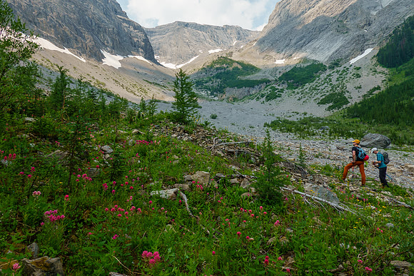 Nearing treeline in the Cone Mountain access drainage.