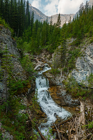 Bushwhacking up the Cone Mountain drainage.