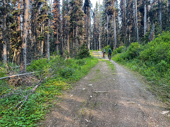 Biking up (and down) the approach trail.