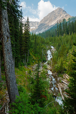 Bushwhacking up the Cone Mountain drainage.