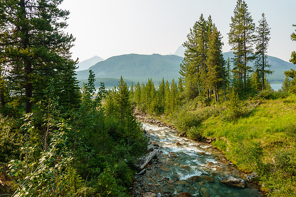 Turbulent Creek from the bridge.