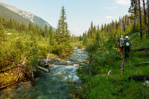 Hiking up Turbulent Creek. on intermittent trails.