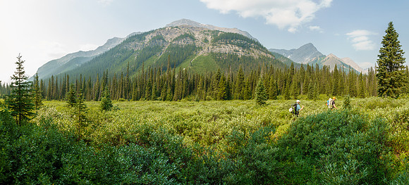 Hiking up Turbulent Creek. on intermittent trails. Cone Mountain looming over us.