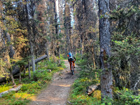 Biking up (and down) the approach trail.