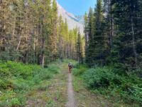 Biking up (and down) the approach trail as it circles Spray Lake.