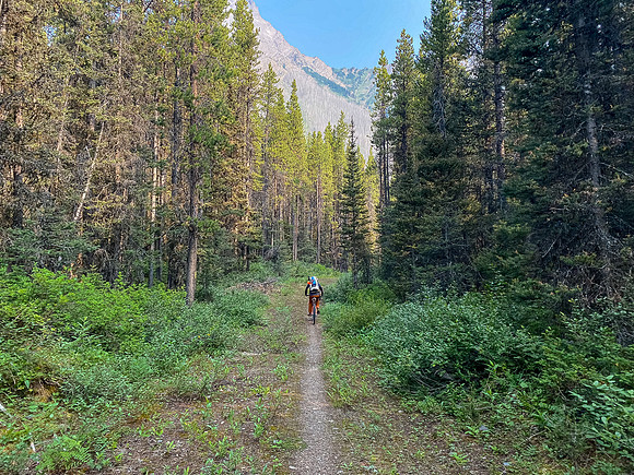 Biking up (and down) the approach trail as it circles Spray Lake.