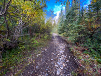 The Sheep Creek road is a mix of great riding and terrible riding.
