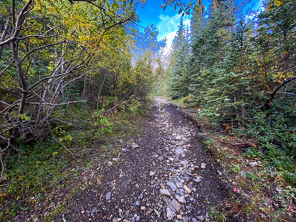 The Sheep Creek road is a mix of great riding and terrible riding.