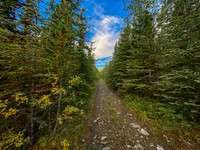 The Sheep Creek road is a mix of great riding and terrible riding.