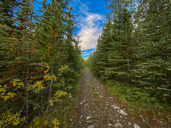 The Sheep Creek road is a mix of great riding and terrible riding.