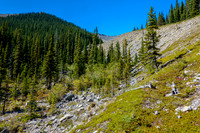 Finally in Sheep Creek and I immediately leave it again to the right.