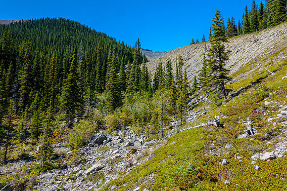 Finally in Sheep Creek and I immediately leave it again to the right.