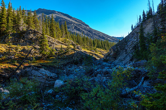 Views back up valley.