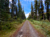 The Sheep Creek road is a mix of great riding and terrible riding.