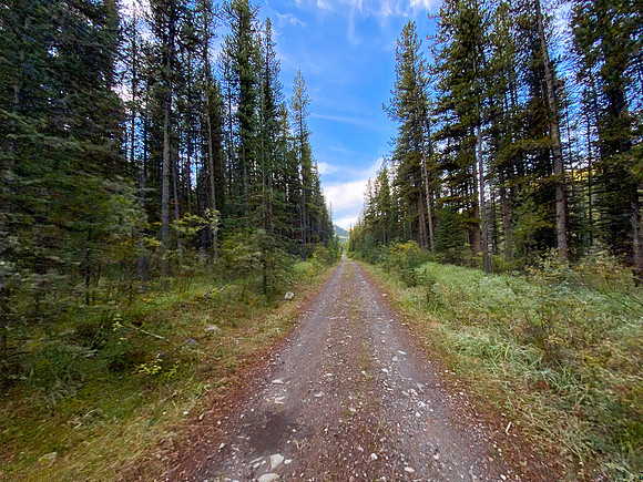 The Sheep Creek road is a mix of great riding and terrible riding.
