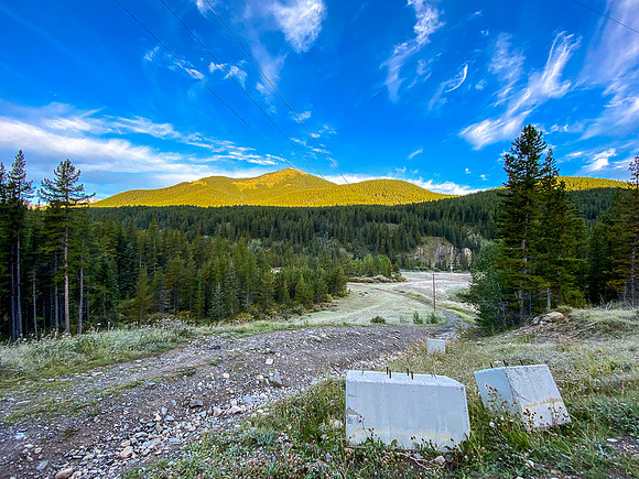 Looking down the start of the Sheep Creek track.