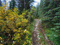 The final bit of track goes steeply uphill. I stopped at a small camp and left my bike there.