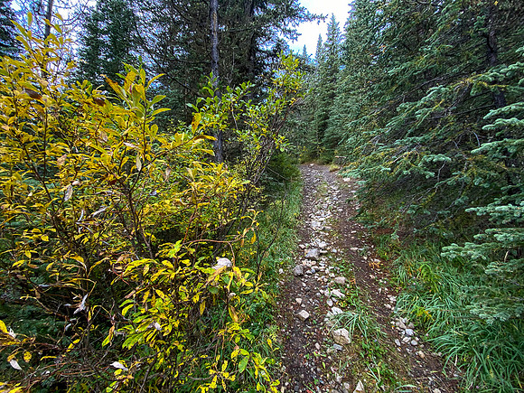 The final bit of track goes steeply uphill. I stopped at a small camp and left my bike there.