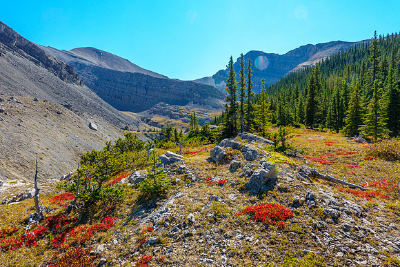 Views back to a gorgeous alpine scene beneath "Grimes" and "Chupacabra".