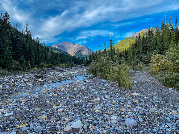 The Sheep Creek approach track goes through the creek at least 6 times.