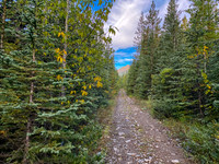 The Sheep Creek road is a mix of great riding and terrible riding.