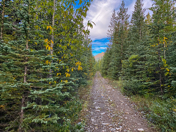 The Sheep Creek road is a mix of great riding and terrible riding.