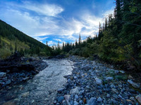 The Sheep Creek approach track goes through the creek at least 6 times.