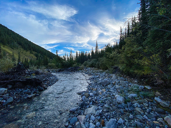 The Sheep Creek approach track goes through the creek at least 6 times.