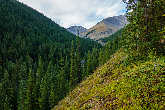 Hiking up the south feeder creek of Sheep Creek towards Zombie Peak.