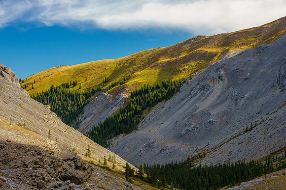 Alpine meadows.