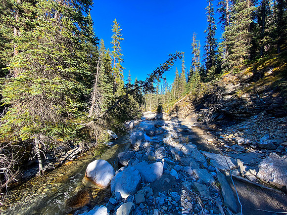 Exiting the somewhat manky Sheep Creek / drainage.